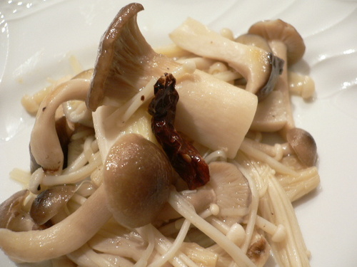 funghi triforati.JPG